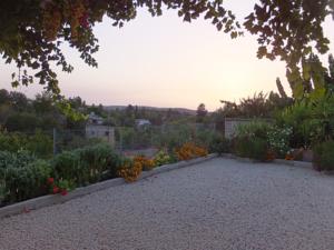 Antigoni's Cottage