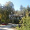 Eftychia's House