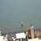 Tylos Beach Hotel