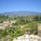Roses Villa