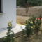 Roses Villa