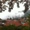 Mountain Rose Hotel