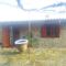 Xenis House