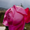 Roses Villa