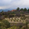 Roses Villa