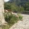 Moniatis Mountain Villa