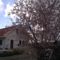 Roses Villa