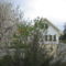 Roses Villa