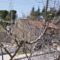 Christoforos Country House