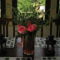 Roses Villa