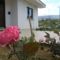 Roses Villa