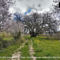 Lania Royal Oak Villa