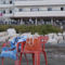 Tylos Beach Hotel