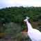 Angel's Hills Mountain Resort