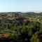 Angel's Hills Mountain Resort