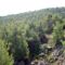 Angel's Hills Mountain Resort