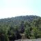 Angel's Hills Mountain Resort