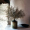 Dorina Cottage