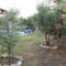 Villa Ivi