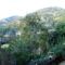 The Marjay Inn