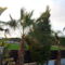 Sea Breeze Villas