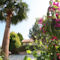 Alonia Villas