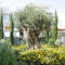 Villa Oleta
