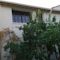 Orange Tree House