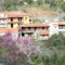 Damianou House