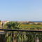 Papaya Royal Villas