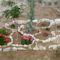 Roses Villa
