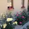 Roses Villa