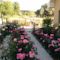 Roses Villa