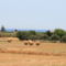 Villa Elia - Bed & Breakfast