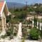 Roses Villa