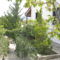 Danai Village House