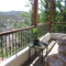 Danai Village House
