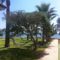Sandy Beach Apartment 8