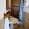Chloe's House