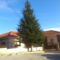 Pera Pedi Pine Villa