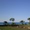 Sandy Beach Apartment 8