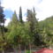 Tasia Houses