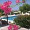 Citrus Tree Gardens