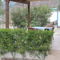 Alonia House 2