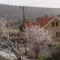Roses Villa
