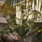 Sunrise Paradise Luxury Villa