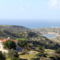 Adonis Palace