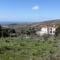 Adonis Palace