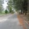Pera Pedi Holiday House