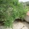 Pera Pedi Holiday House
